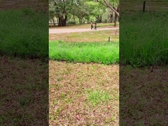 अभिनव प्रौद्योगिकी 100W आउटडोर रोमांच के लिए पोर्टेबल सौर पैनल