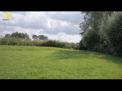 आईबीसी सोलर पैनल